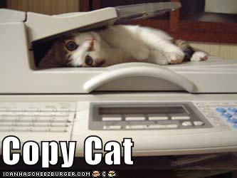 copycat