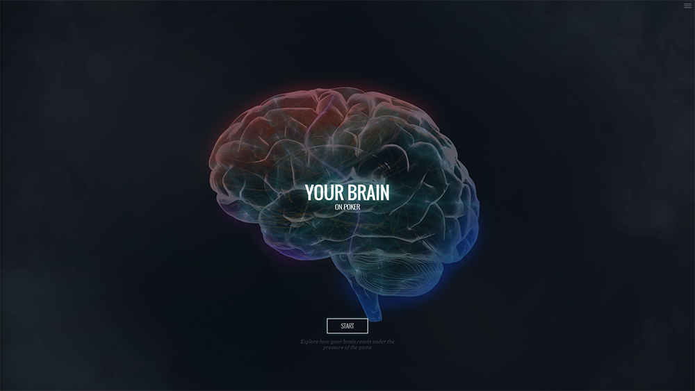 Your Brain on Poker